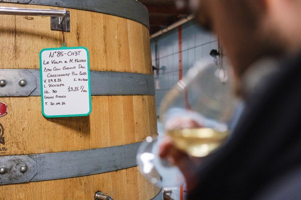 Botti in Rovere per invecchiamento vino