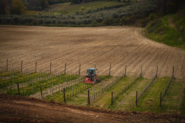 Lavorazione dell vigne