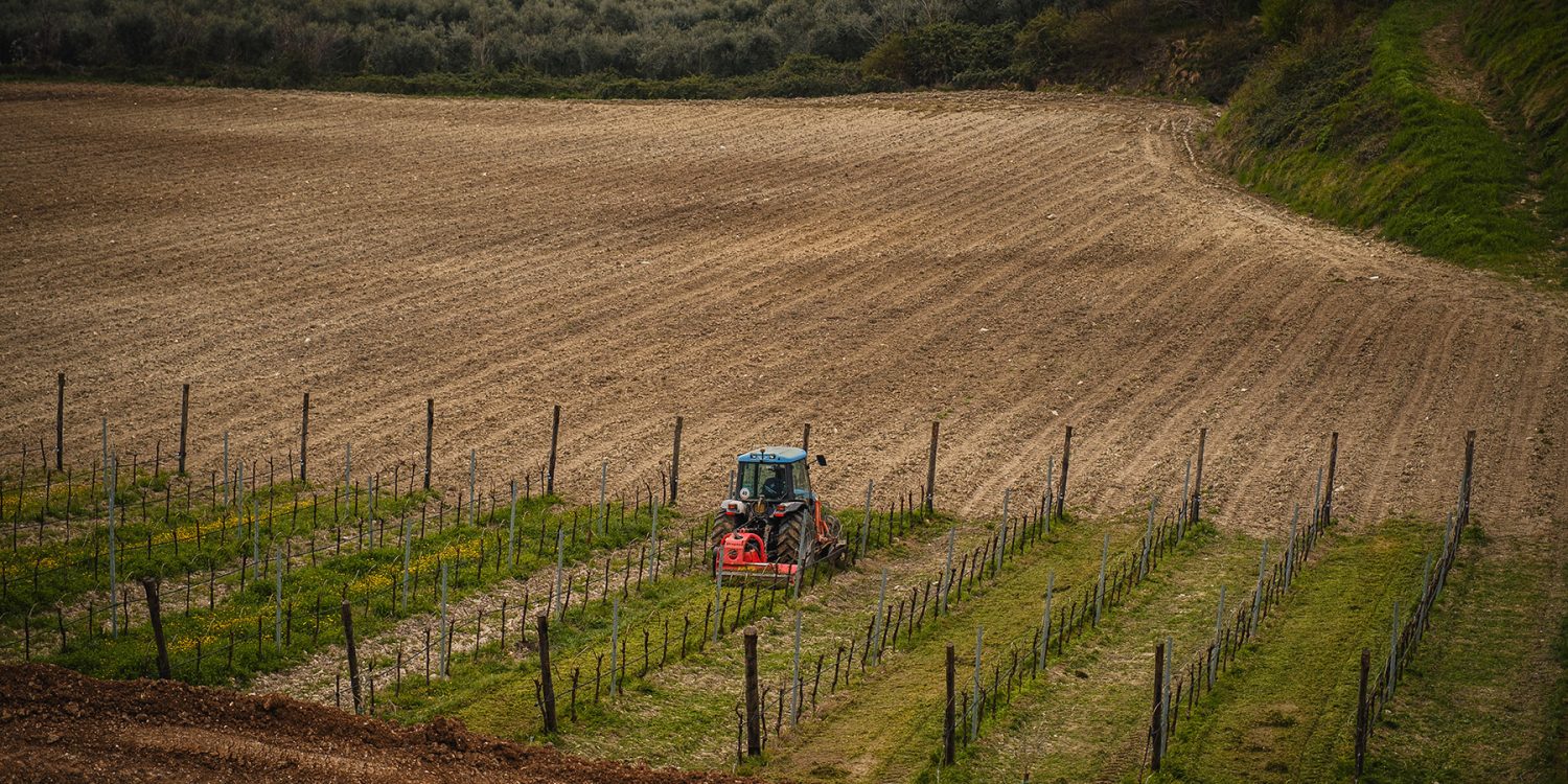 Lavorazione della terra Lavorazione dell vigne